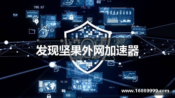 发现坚果外网加速器